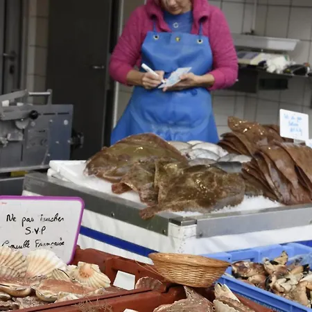 Albatros Du Portel Le Portel