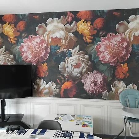 Albatros Du Portel Le Portel